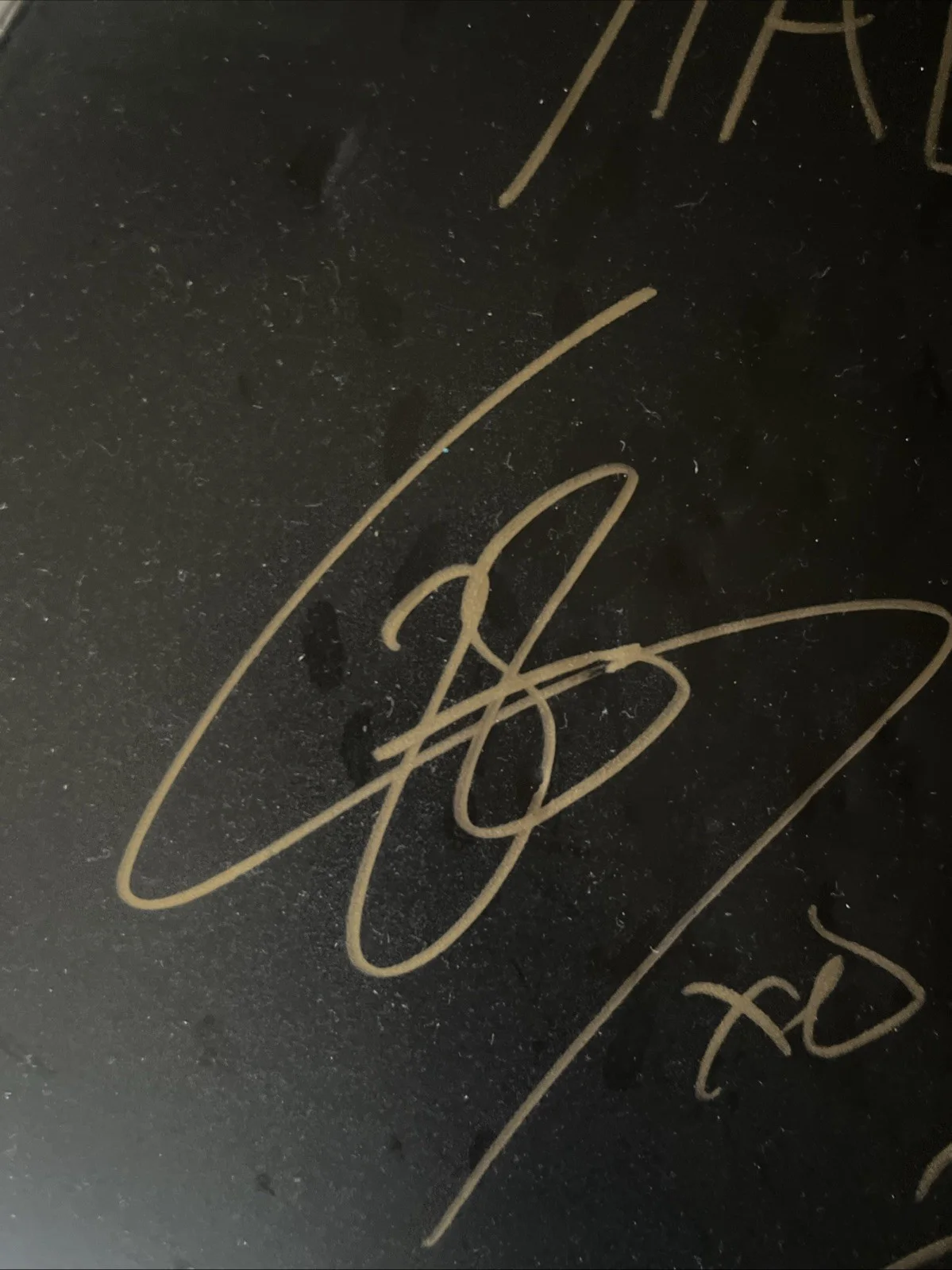 Stage Used Evans Signed Halestorm Drumhead, изображение 2