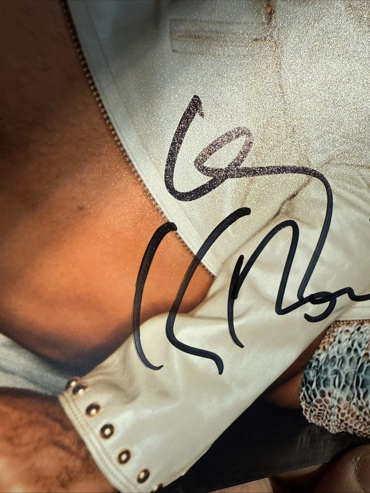 Lenny Kravitz autograph signed photo 8x10, image 3