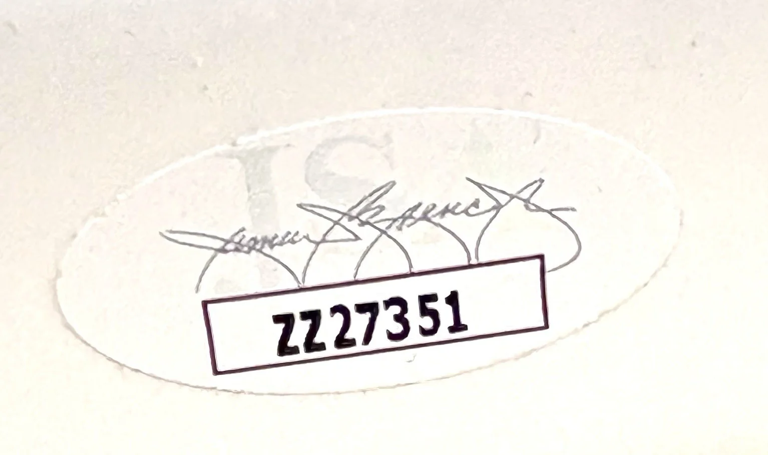 TINDERSTICKS Stuart Staples SIGNED Guitar JSA AUTHENTICATION LETTER, image 4
