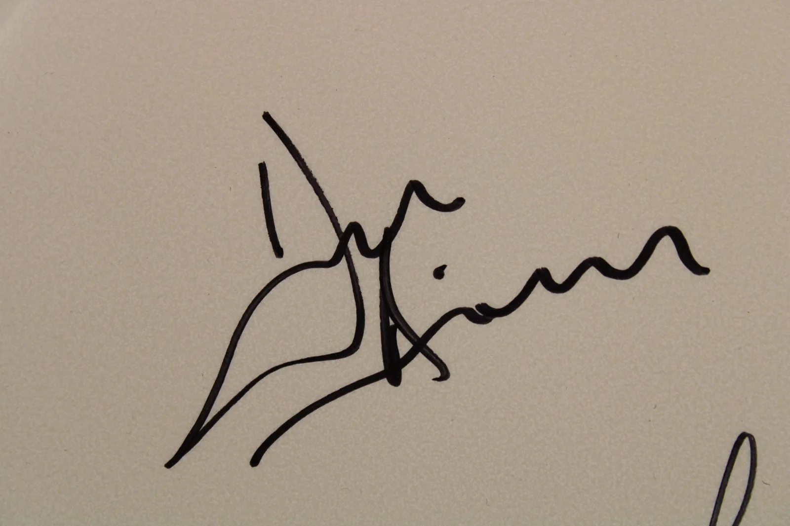 Deep Purple Signed Drum Head 13.5" – Full Band Autographs incl. McBride 2024, image 5
