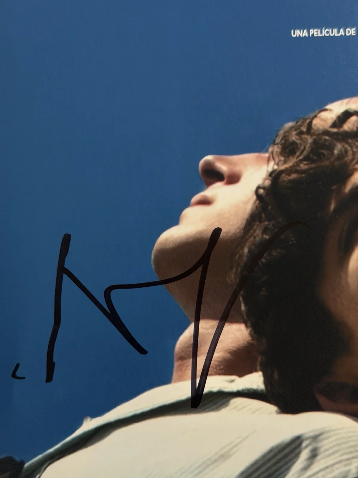 Timothee Chalamet — TIMOTHEE CHALAMET SIGNED 12x18 PHOTO CALL ME BY YOUR NAME PSA/DNA COA, изображение 2