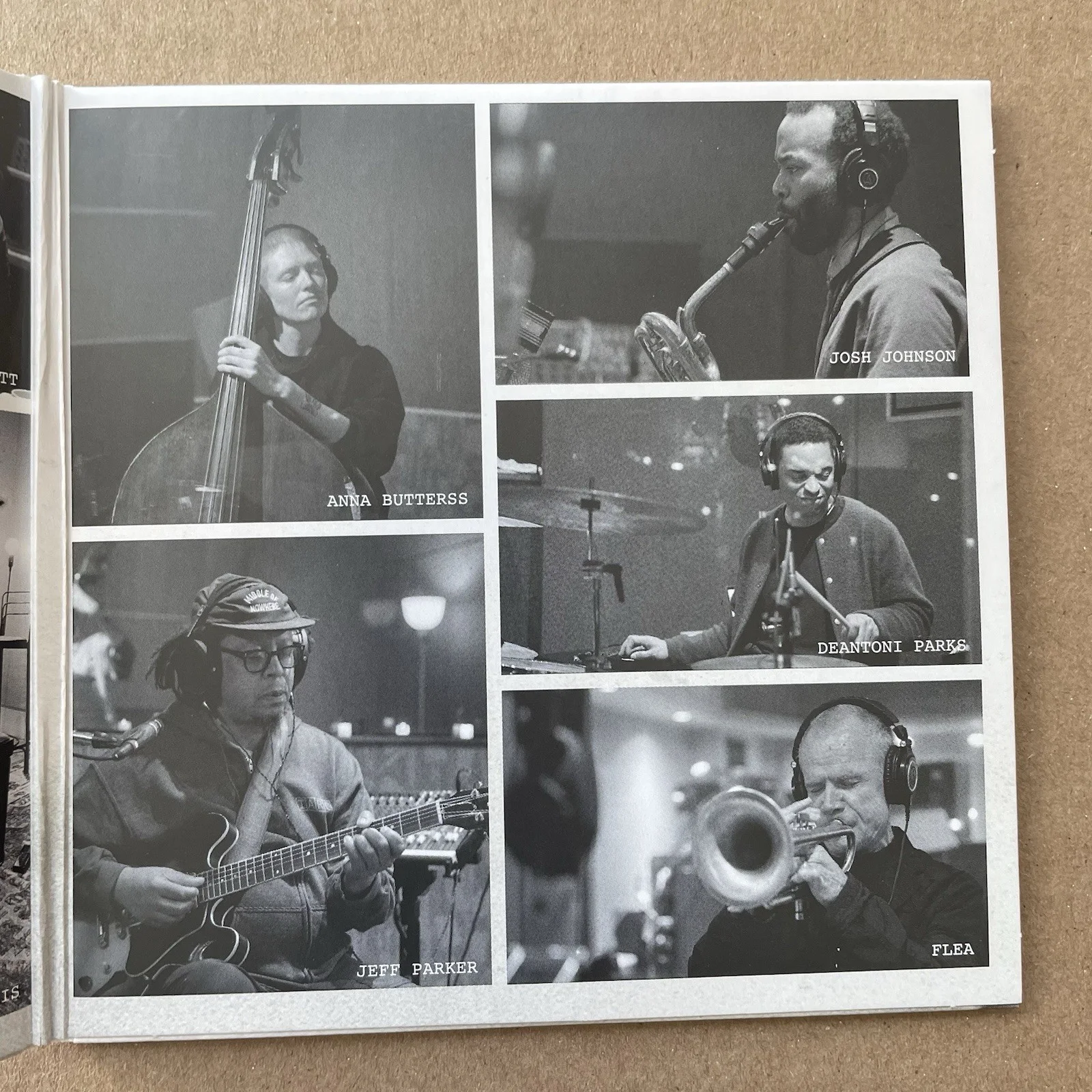 FLEA HONORA CD Red Hot Chili Peppers SIGNED AUTOGRAPHED Insert, image 5