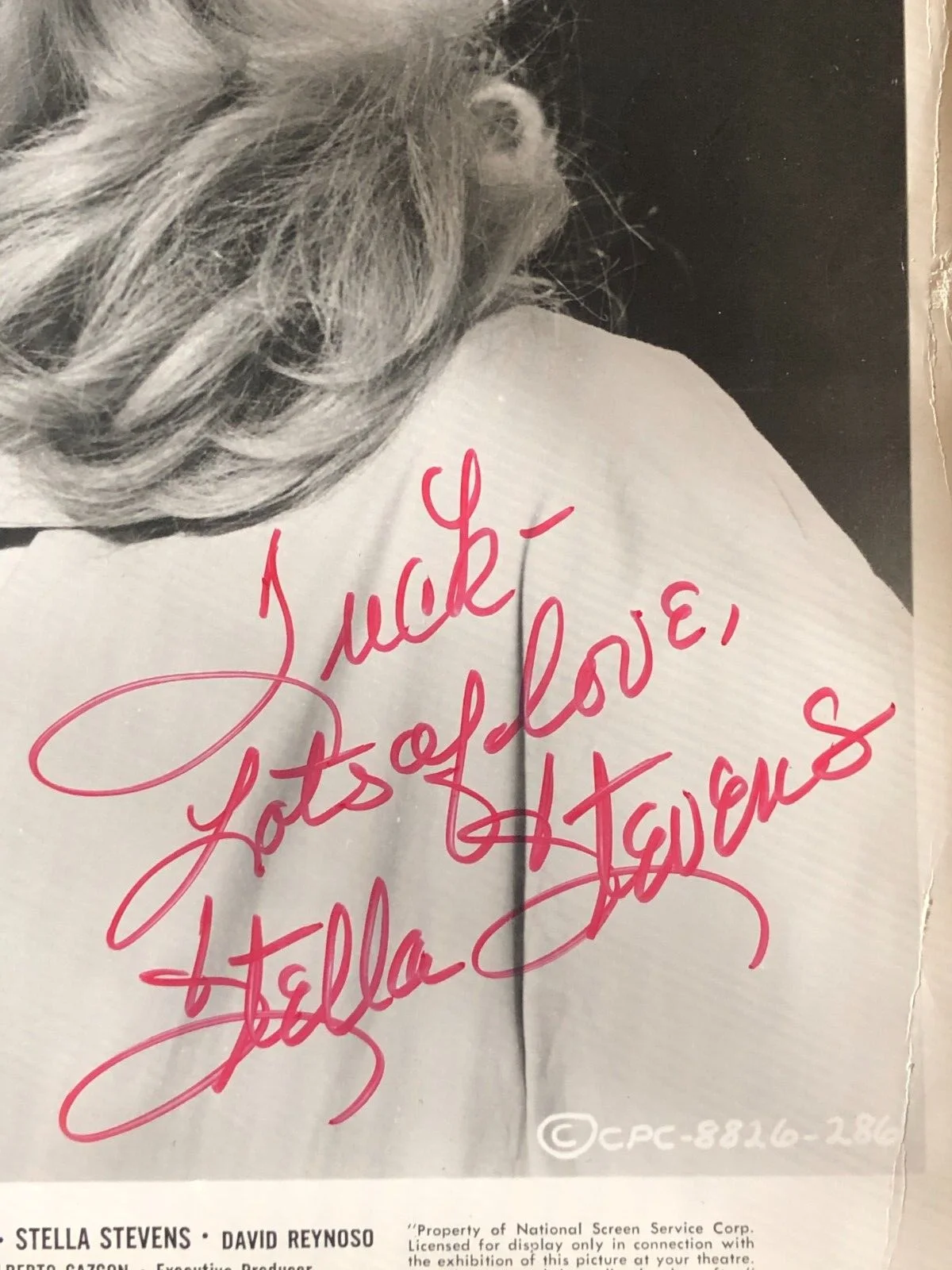 Stella Stevens — Actress Stella Stevens Autographed 1966 Film "RAGE" Publicity Photo for the, image 2