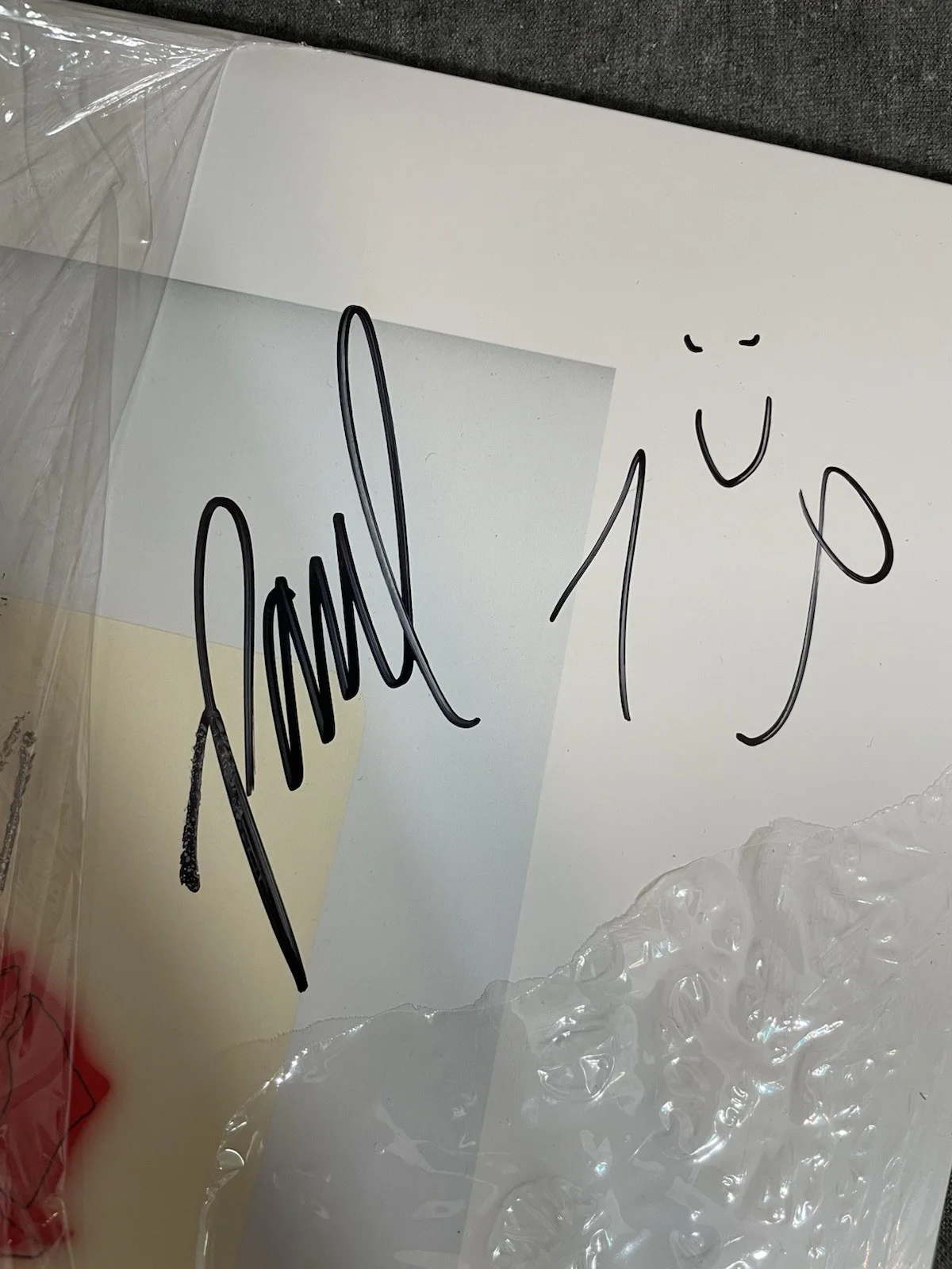 PAUL KLEIN & JAKE GOSS SIGNED SELF TITLED LANY BAND VINYL ALBUM AUTOGRAPH, изображение 2