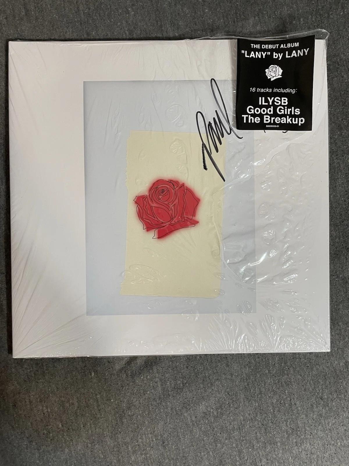 PAUL KLEIN & JAKE GOSS SIGNED SELF TITLED LANY BAND VINYL ALBUM AUTOGRAPH, изображение 3
