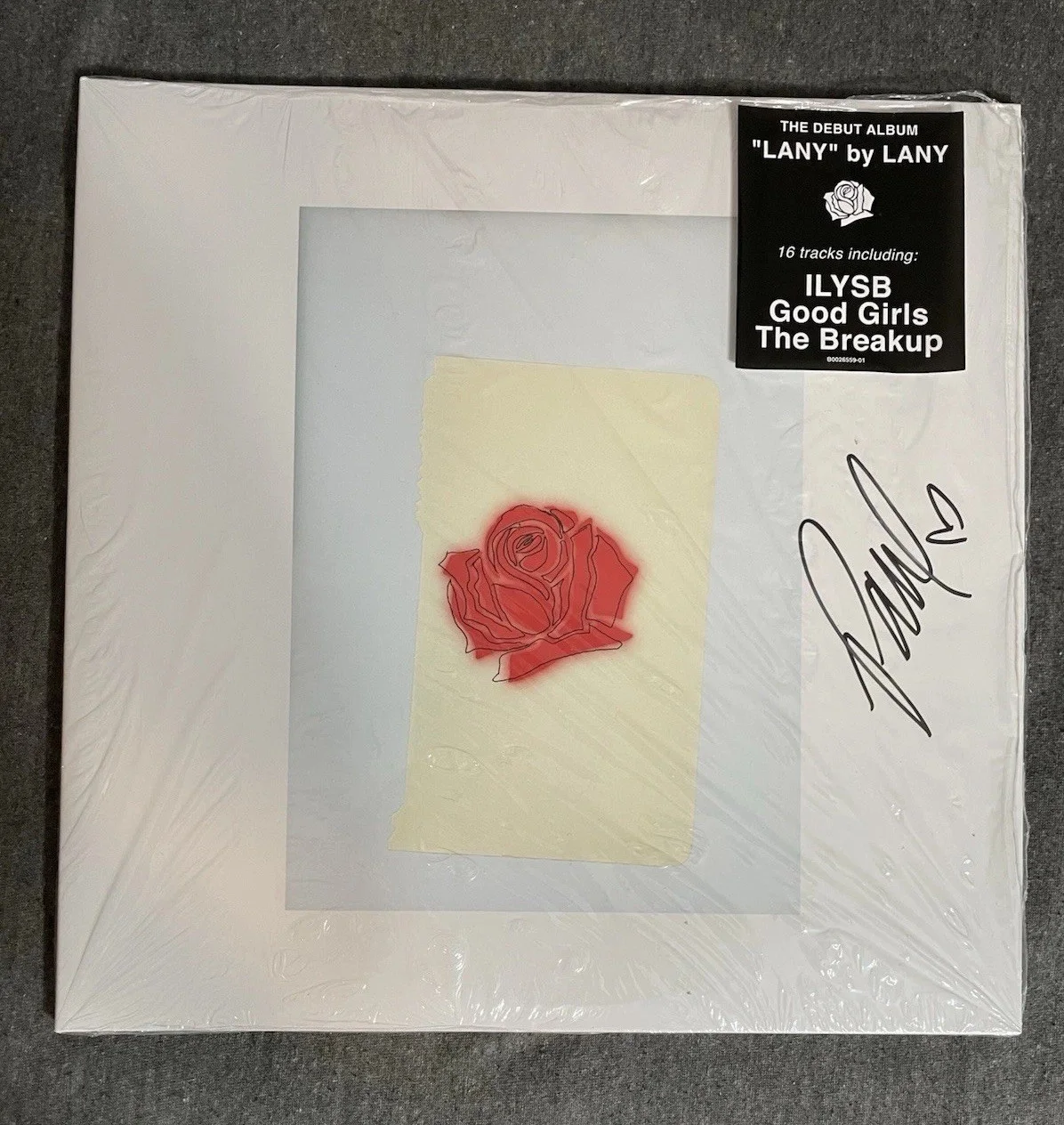 PAUL KLEIN & JAKE GOSS SIGNED SELF TITLED LANY BAND VINYL ALBUM AUTOGRAPH, изображение 3