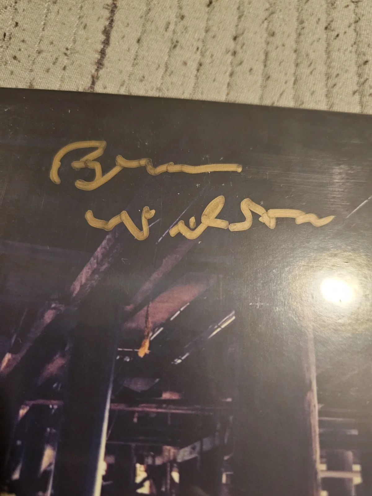 Brian Wilson No Pier Pressure Autographed Brand New, image 2