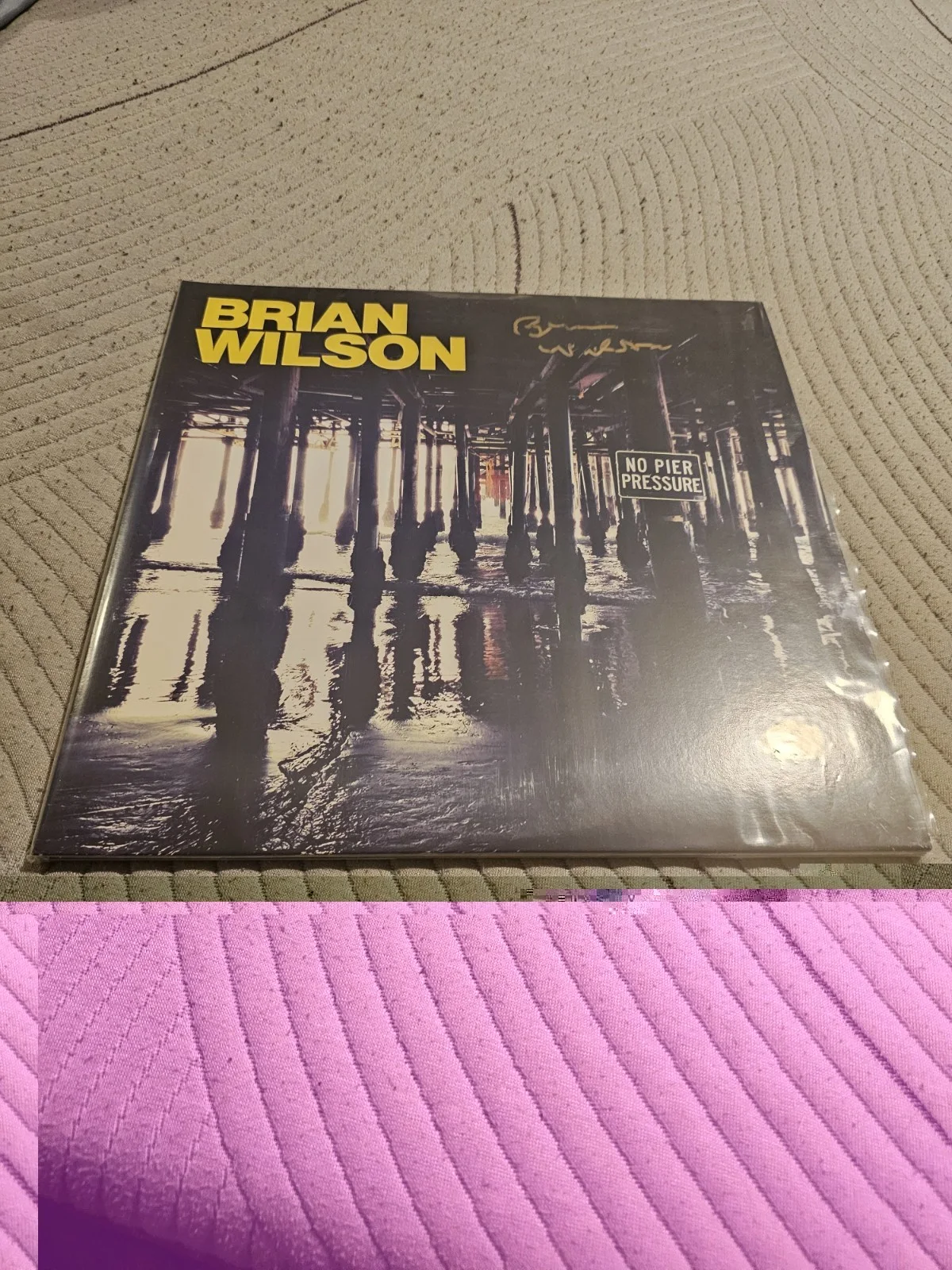 Brian Wilson No Pier Pressure Autographed Brand New, image 3