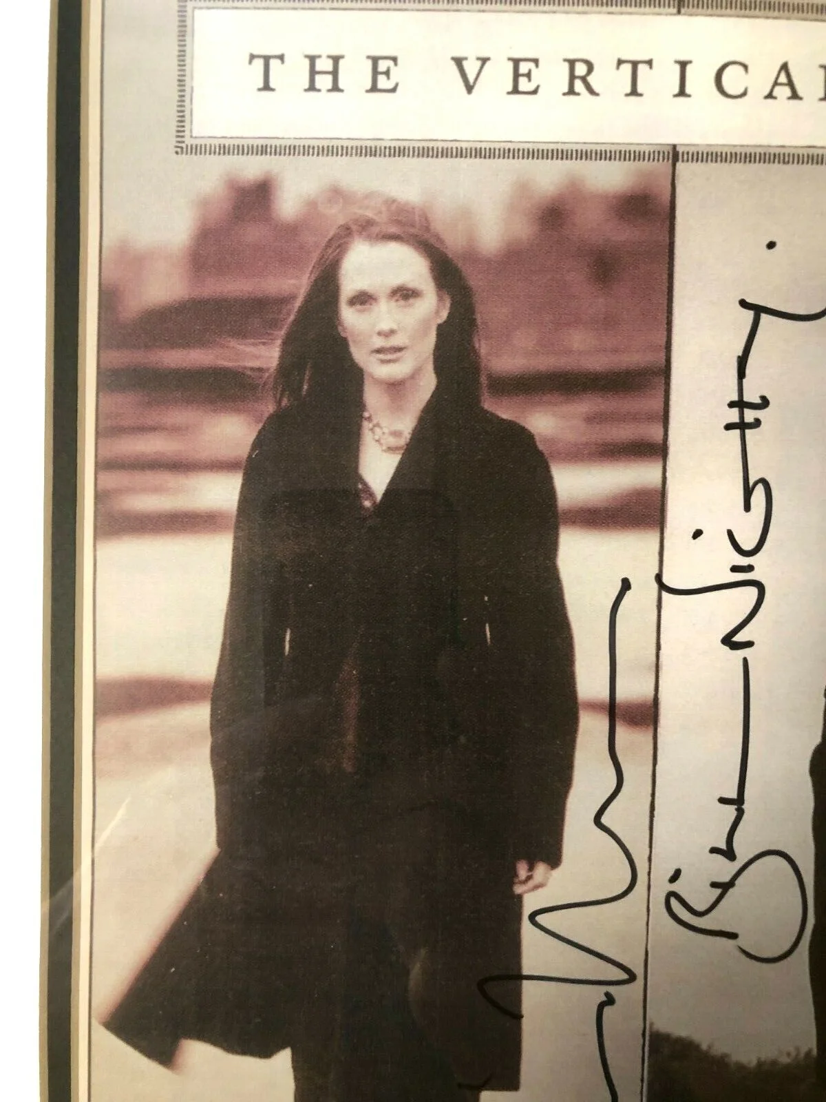 BILL NIGHY, JULIANNE MOORE — BROADWAY BILL NIGHY + JULIANNE MOORE "VERTICLE HOUR" PLAYBILL Autographed Framed, изображение 3