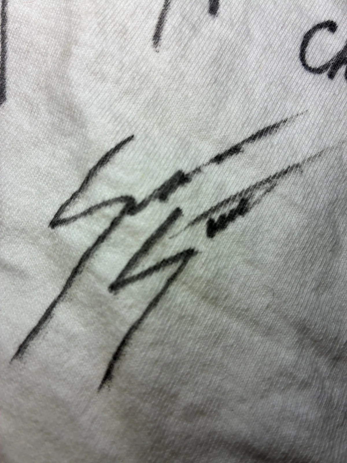 See Decription — American Pie Cast Signed T‑Shirt 7 Autographs Hannigan Biggs Klein Scott *RARE*, изображение 5