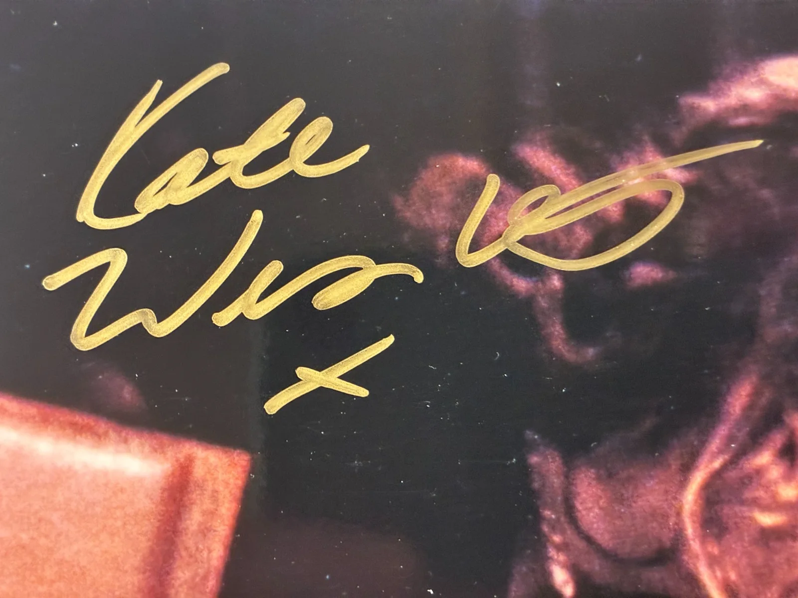 Kate Winslet, Leonardo DiCaprio — DiCaprio & Kate Winslet Titanic 8x10 Signed Autographed Classic Memorabilia COA, image 3