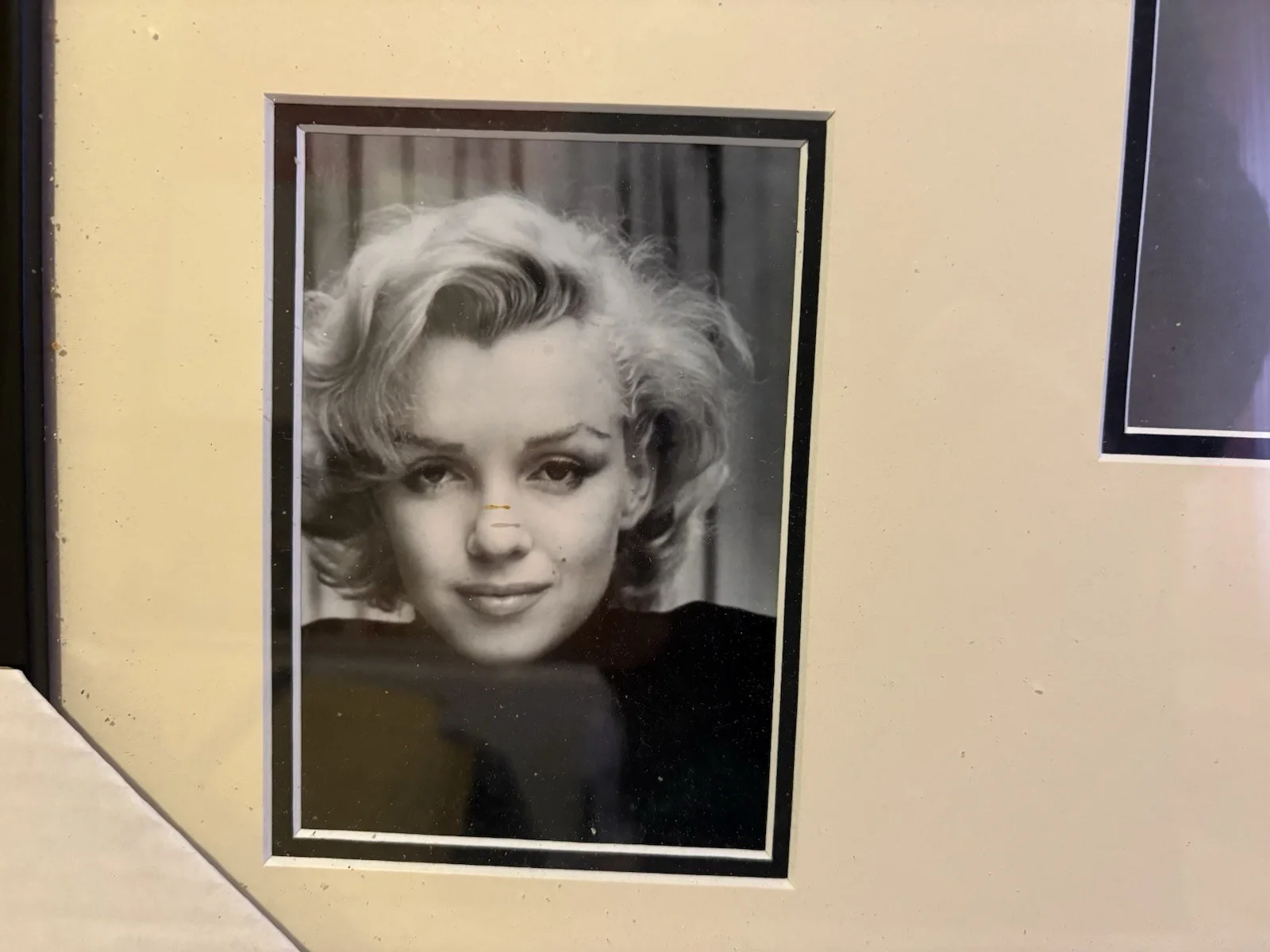 Framed collection of Marilyn Monroe photographs with biographical plaque New, изображение 4