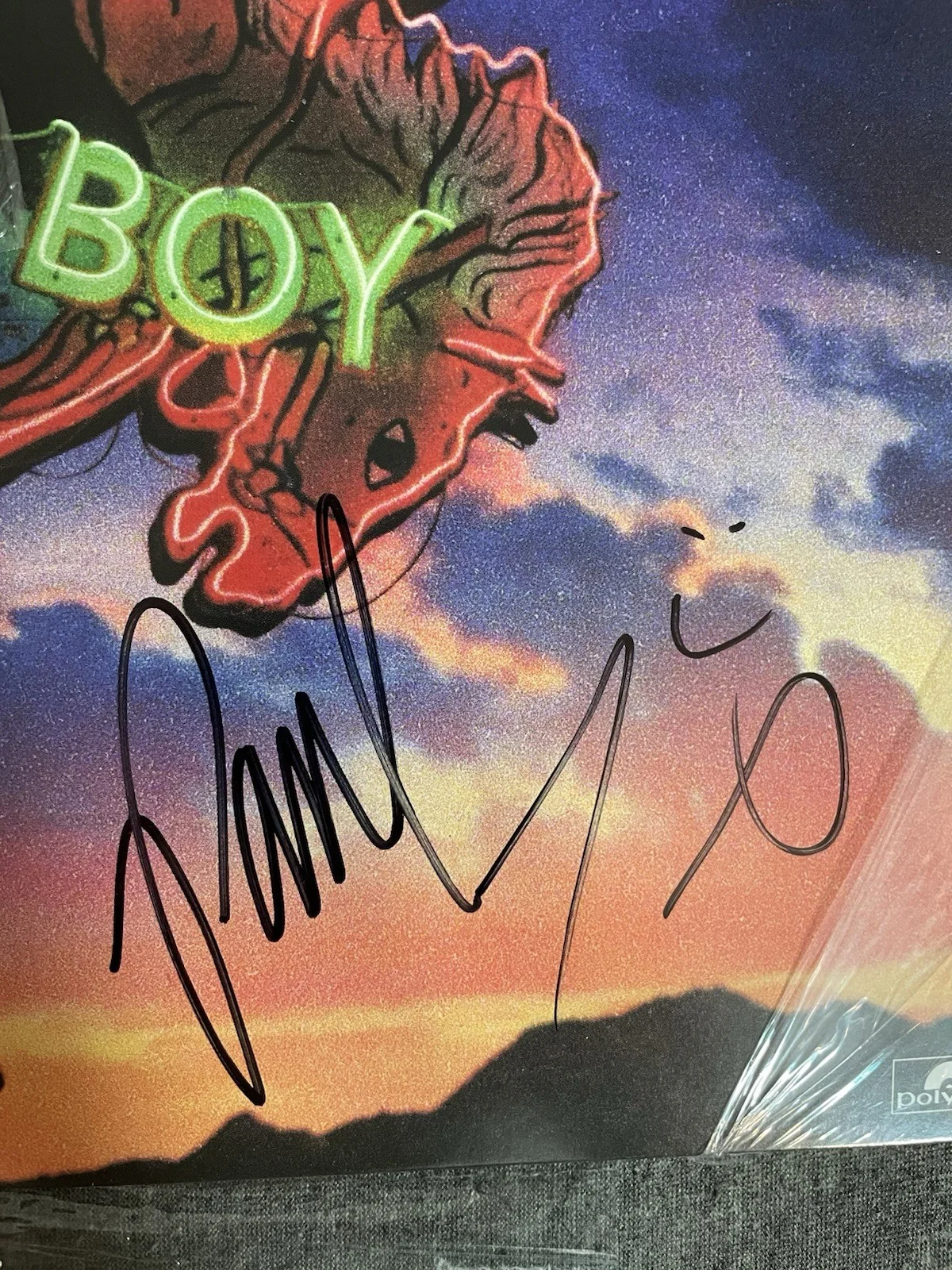 lany mamas boy vinyl (SIGNED by Paul Klein + Jake Goss), изображение 4