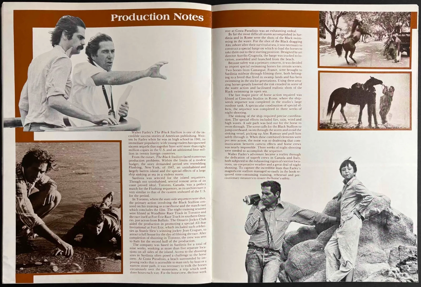 Black Stallion ORIGINAL Film Movie Brochure Kelly Reno Teri Garr 1979, изображение 3