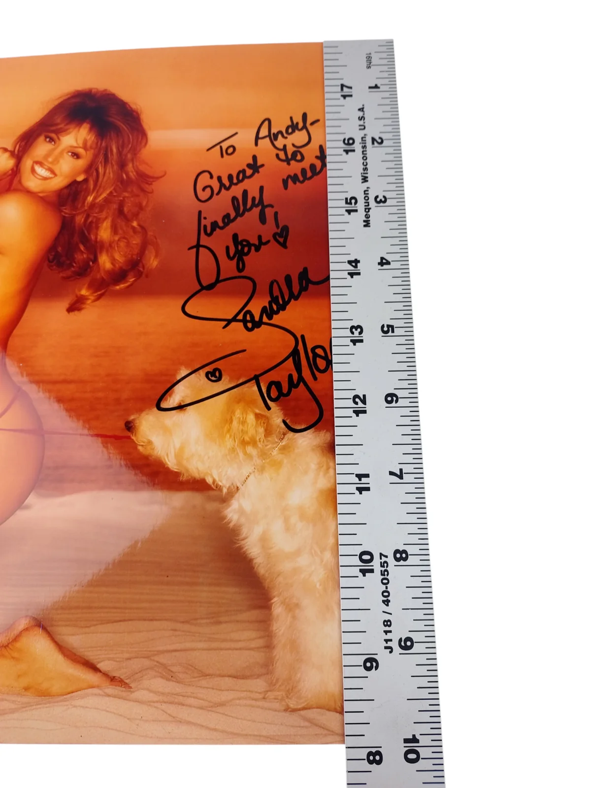 Sandra Taylor — Sandra Taylor Autographed 8x10 Signed Photo Beach Bikini Playboy Playmate Model, изображение 3