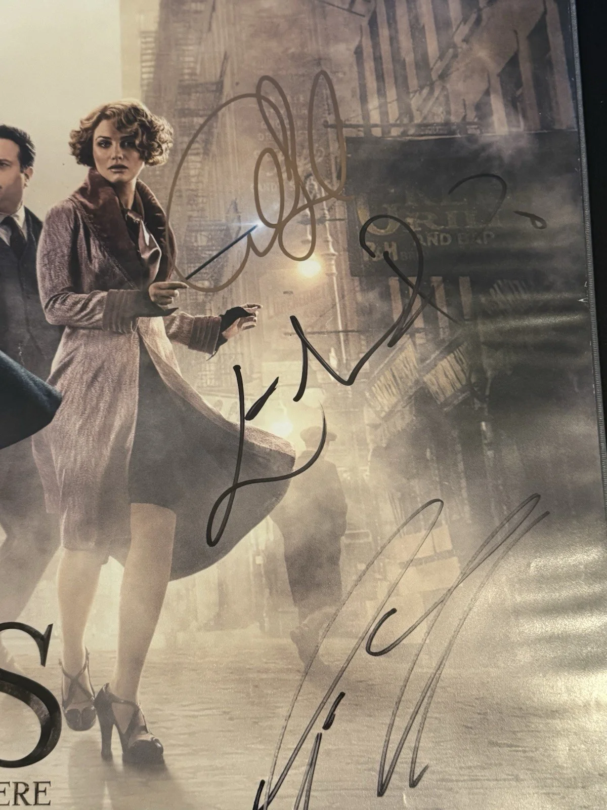 Fantastic Beasts and Where to Find Them Original Cast Signed Poster, image 3
