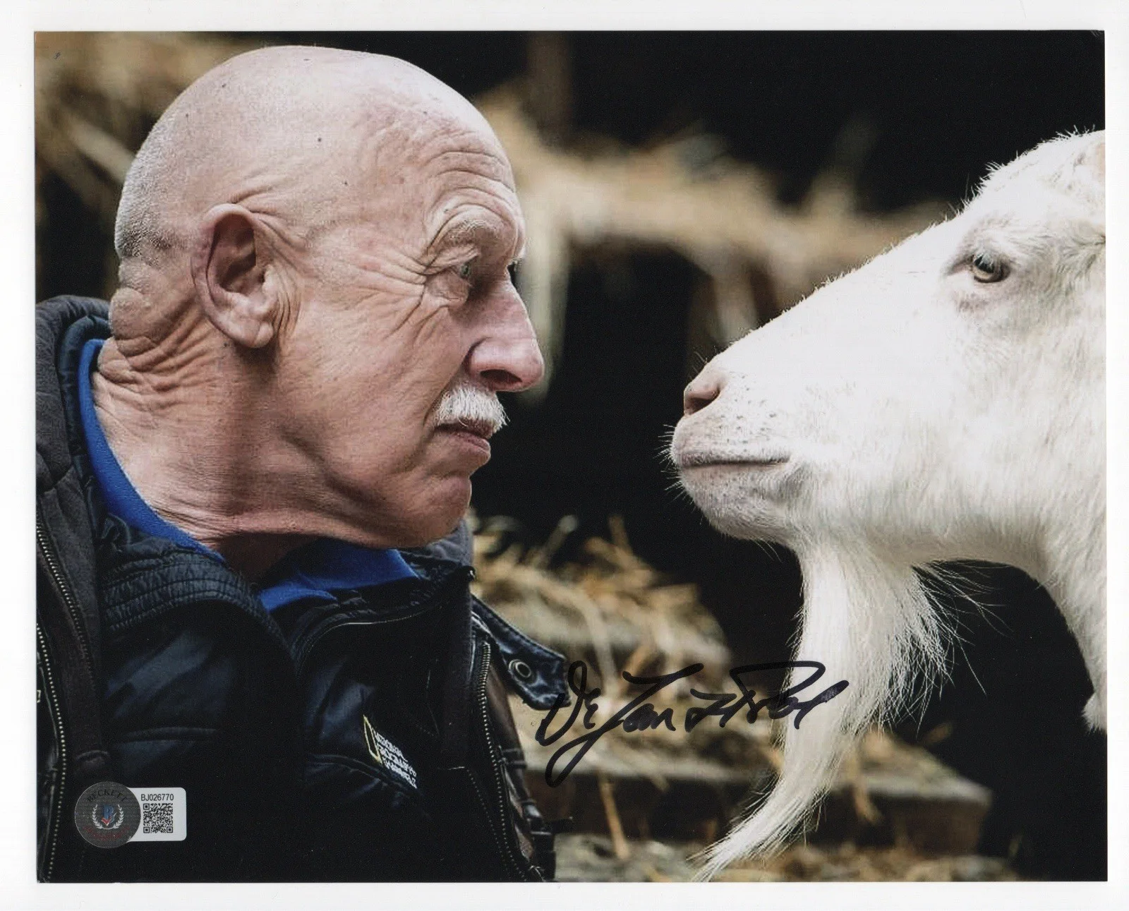 Jan Pol — Dr. Jan Pol autographed signed 8x10 photo Beckett BAS COA The Incredible Dr. Vet