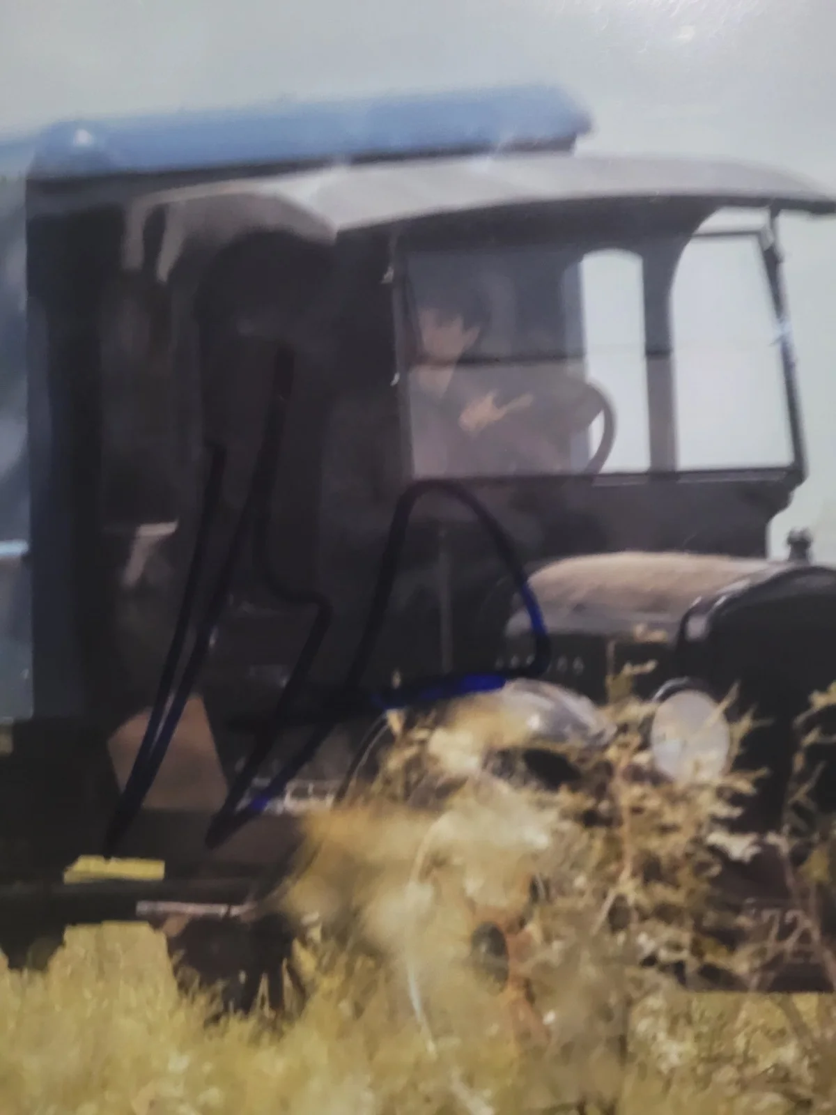 Brandon Sklenar — Brandon Sklenar Signed 8X10 Photo Spencer Dutton 1923 Autographed JSA COA, изображение 2