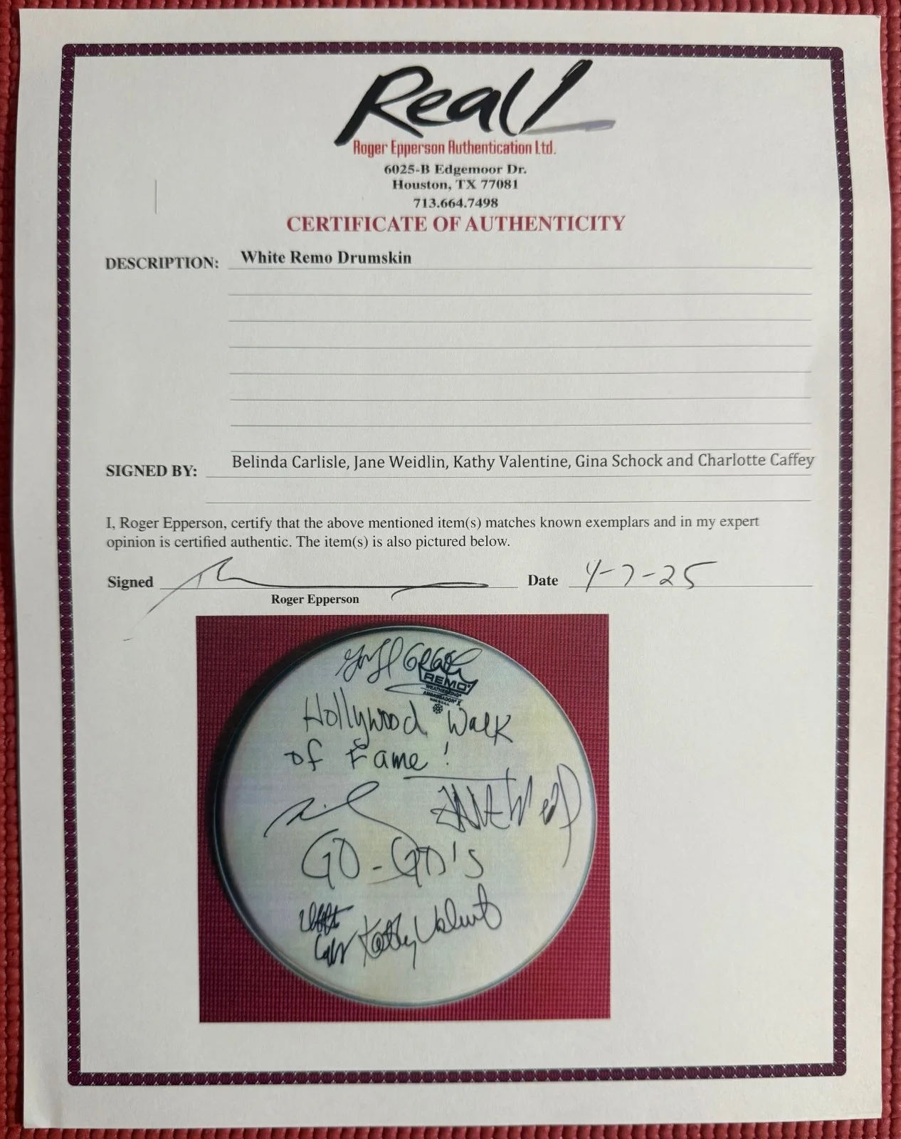 REAL signed 14" REMO DRUM HEAD autographed by all THE GO GO"s Epperson, image 3