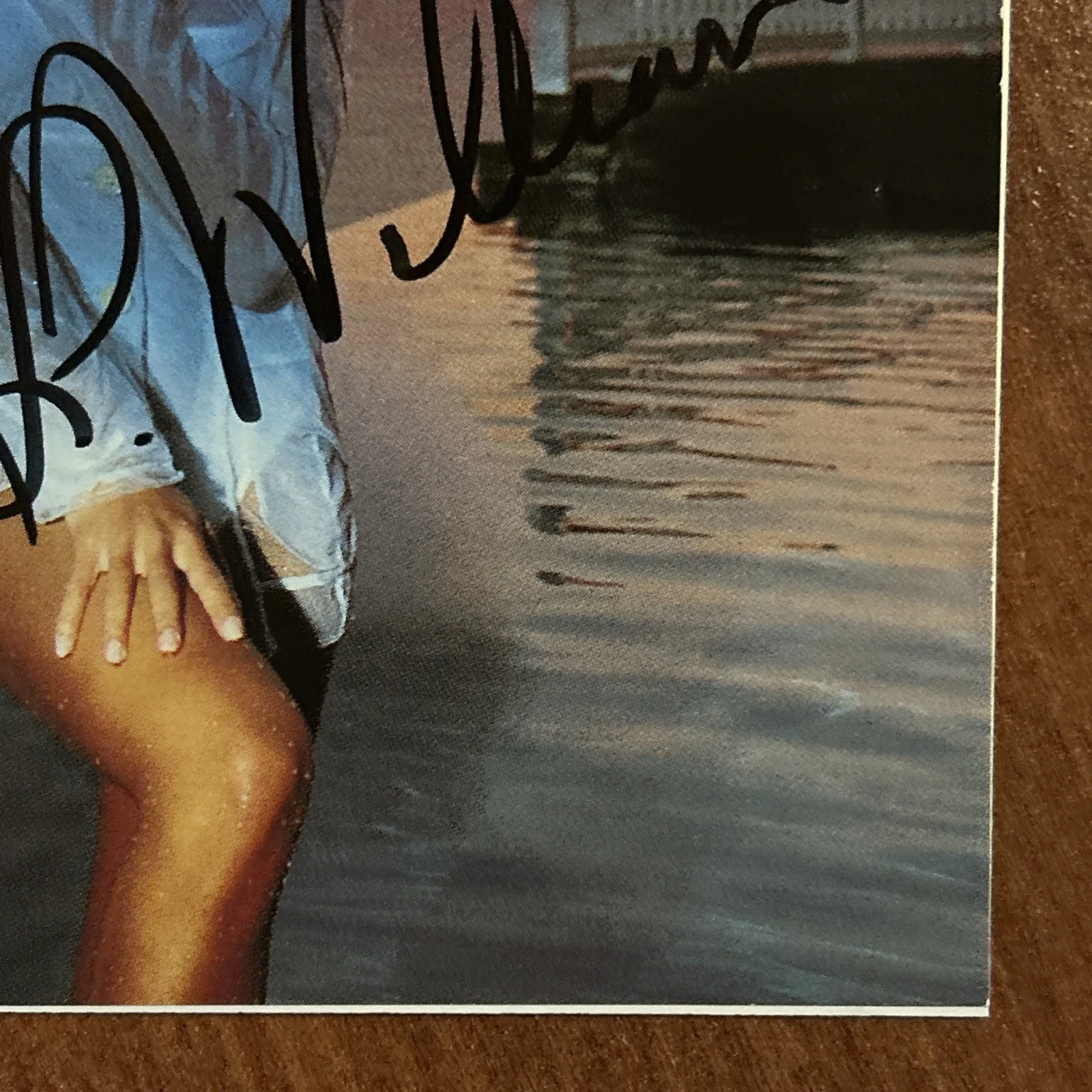 Vanessa Williams Autographed Cd Booklet, image 4