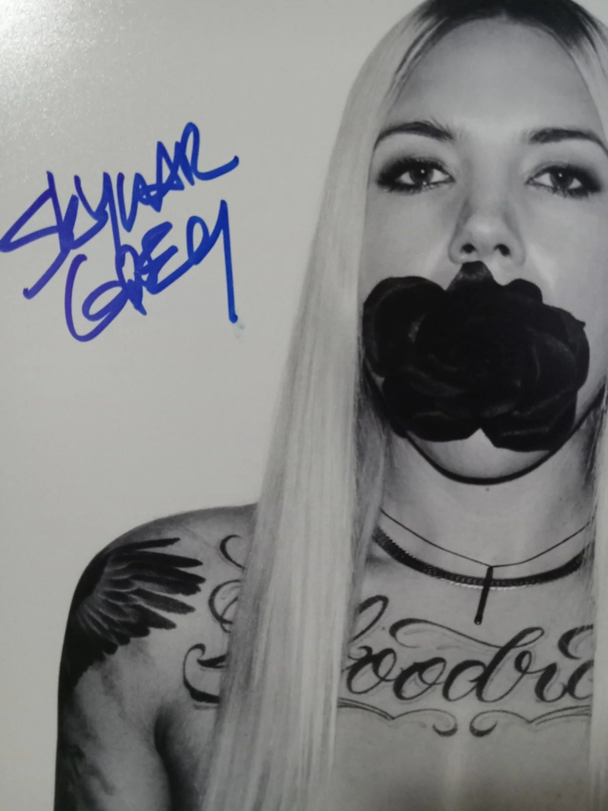 Skylar Grey — Skylar Grey Signed Singer Songwriter Rhianna Eminem 8x10 photo NICE Autograph, изображение 2