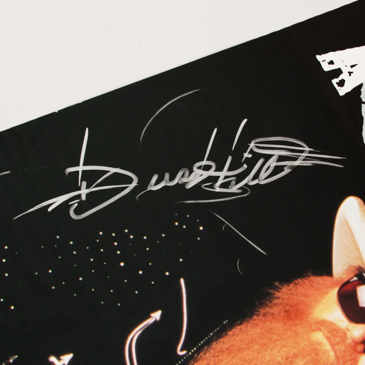 ZZ TOP Signed Concert Poster German 1994 23″x 33″ JSA LOA, image 2