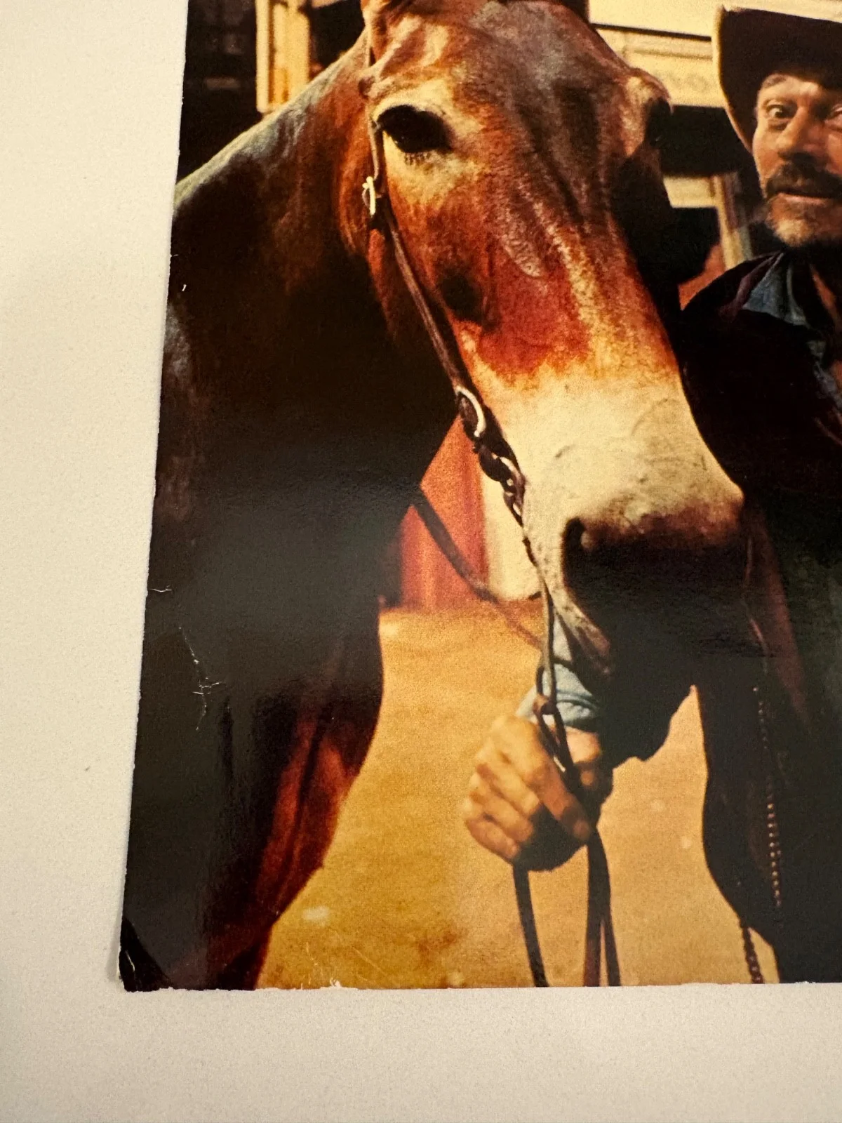 Ken Curtis — Vintage Festus & Ruth GUNSMOKE Ken Curtis Printed Autograph Publicity Still 8x10, image 3