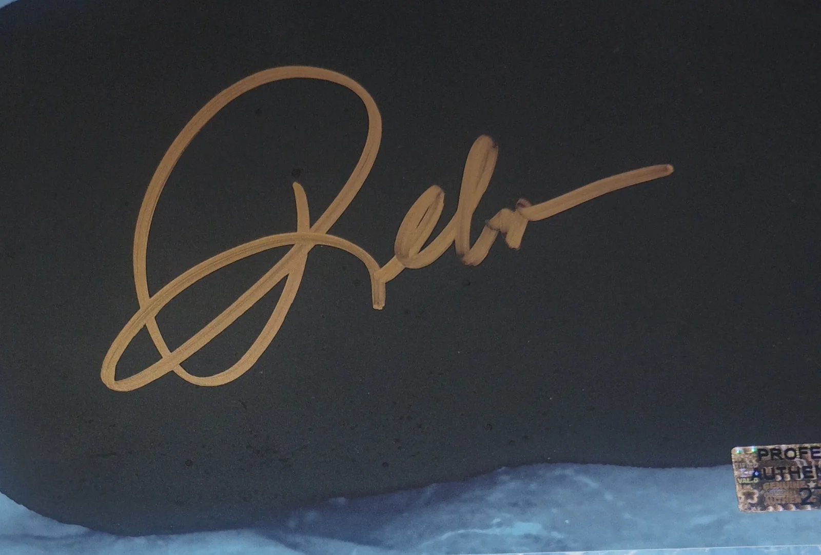 Reba McEntire Hand Signed Autograph COA 8x10 Photo NO US TARIFFS, image 3