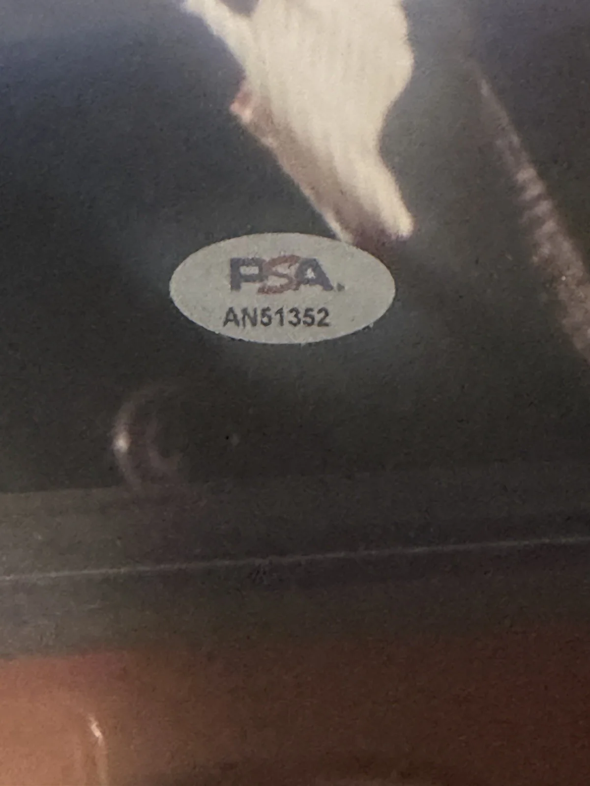 Peter Billingsley Signed 8x10 A Christmas Story Autographed Photo Ralphie JSA, изображение 2
