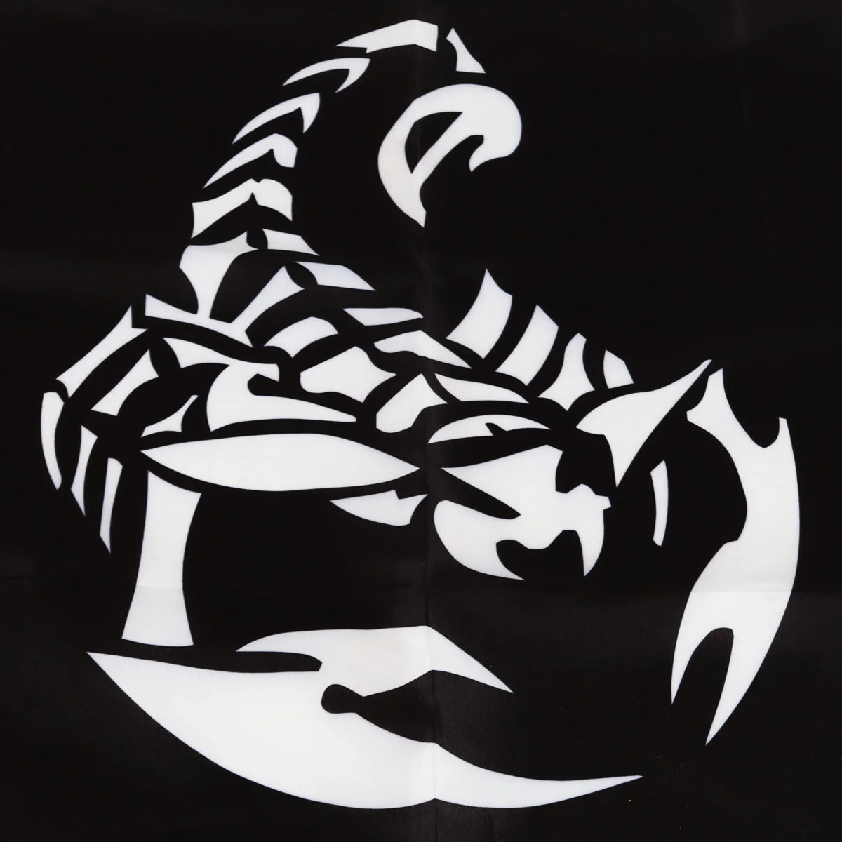 Scorpions Banner, Postcards & Concert Posters Lot, image 2