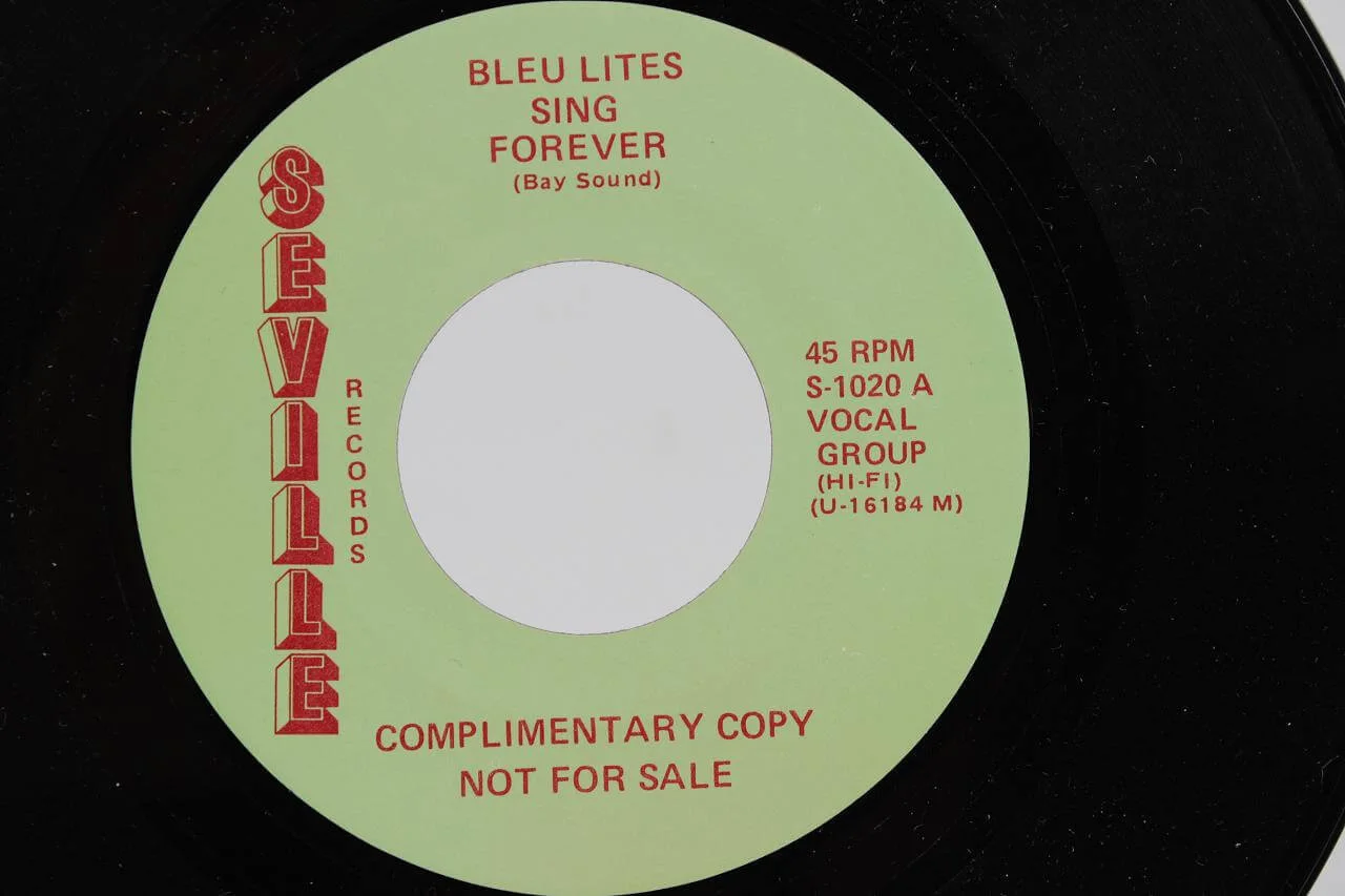 BLEU LITES & LARRY DALE 45 Record Promo, image 5