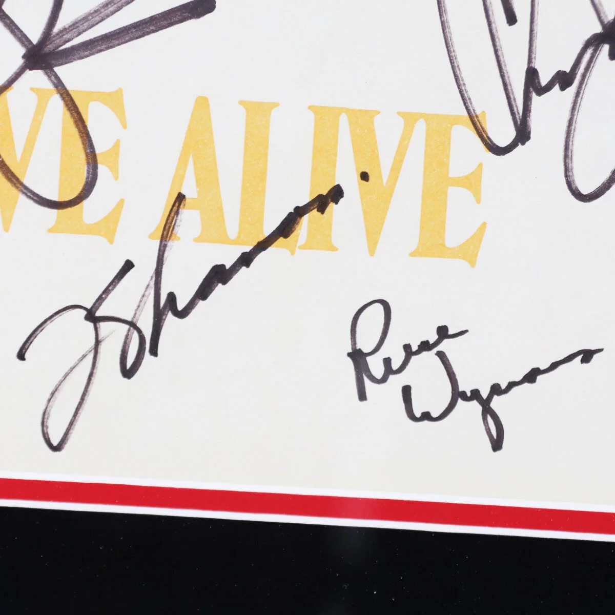 Stevie Ray Vaughan Signed Album Display - COA PSA/DNA & JSA, image 4