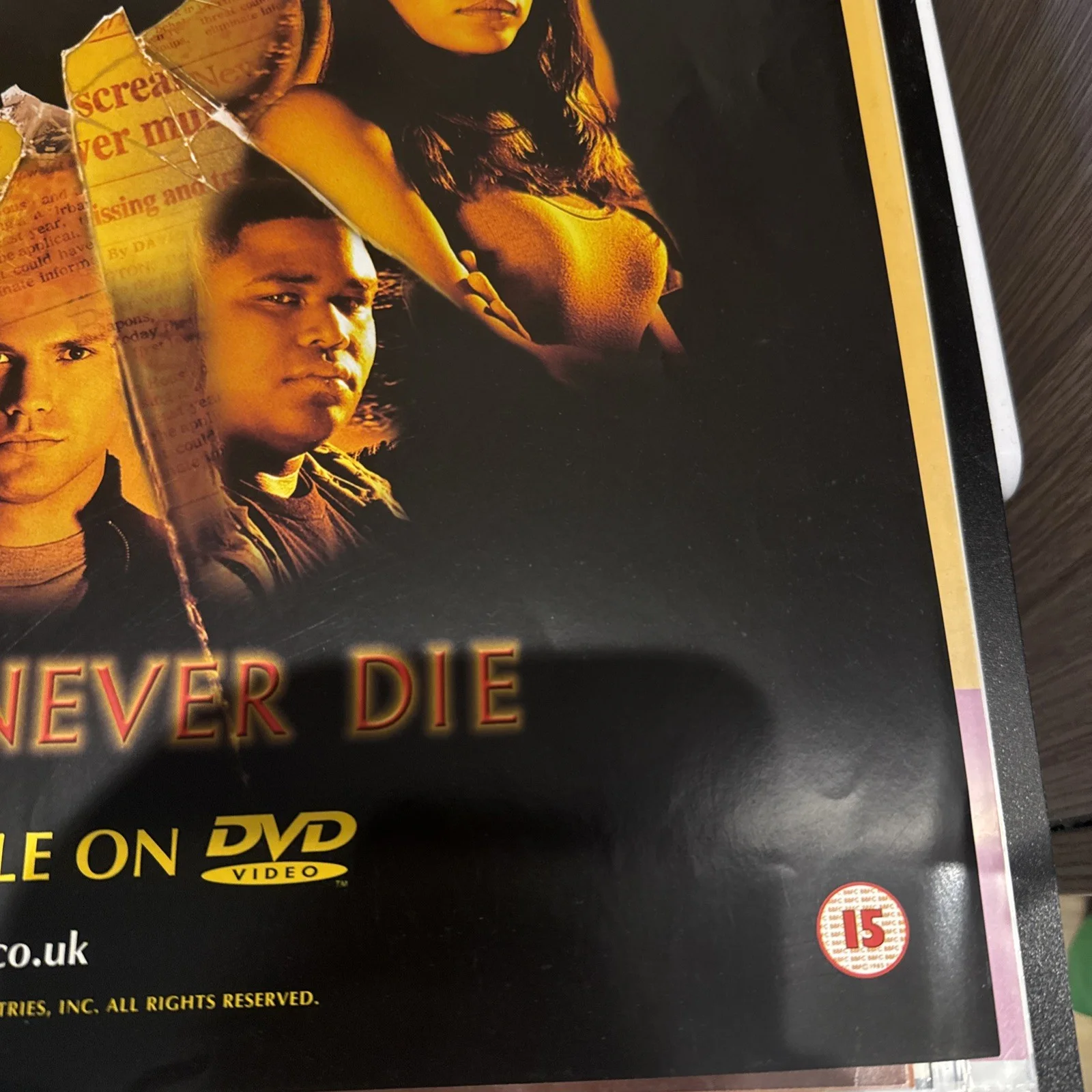 Urban Legends 2 Final Cut Promo DVD / Video Shop Original Movie Poster (39), изображение 3