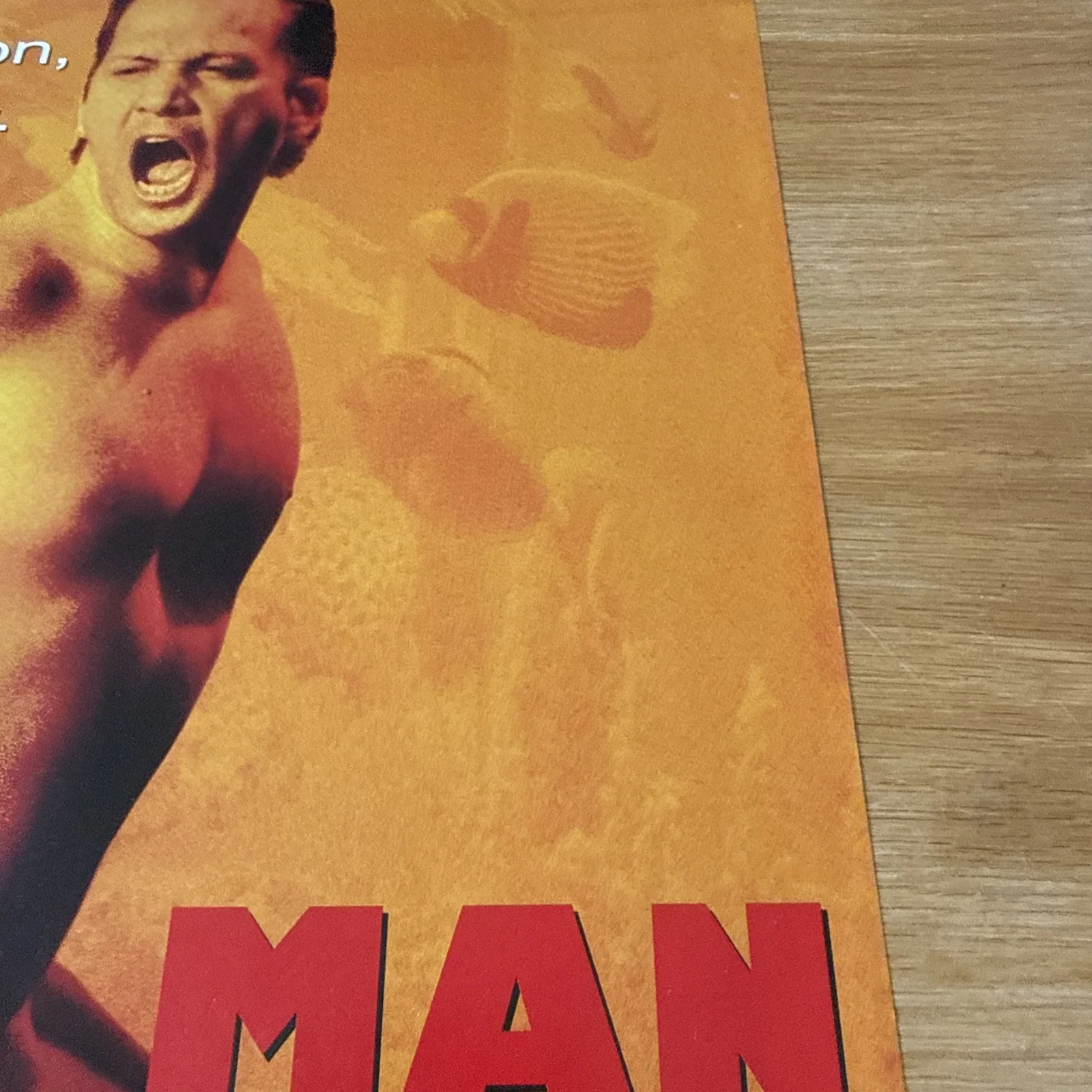 Rare French Film Poster “rent A Man” Deuce Bigaloo 62x40cm (21), изображение 5