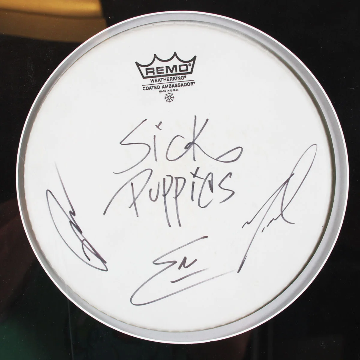 Stone Temple Pilots Band Signed Display w/ Sick Puppies Band & POD Band Chest..., изображение 3