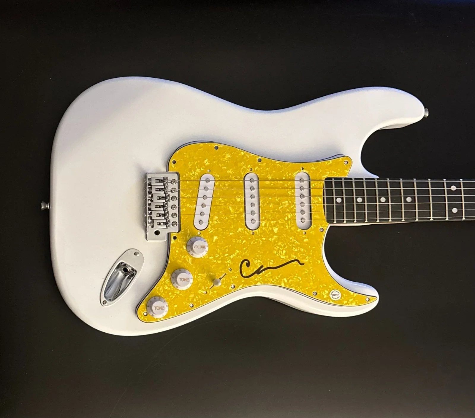 GFA Wilson Phillips Star * CARNIE WILSON * Signed Electric Guitar PROOF COA, image 2