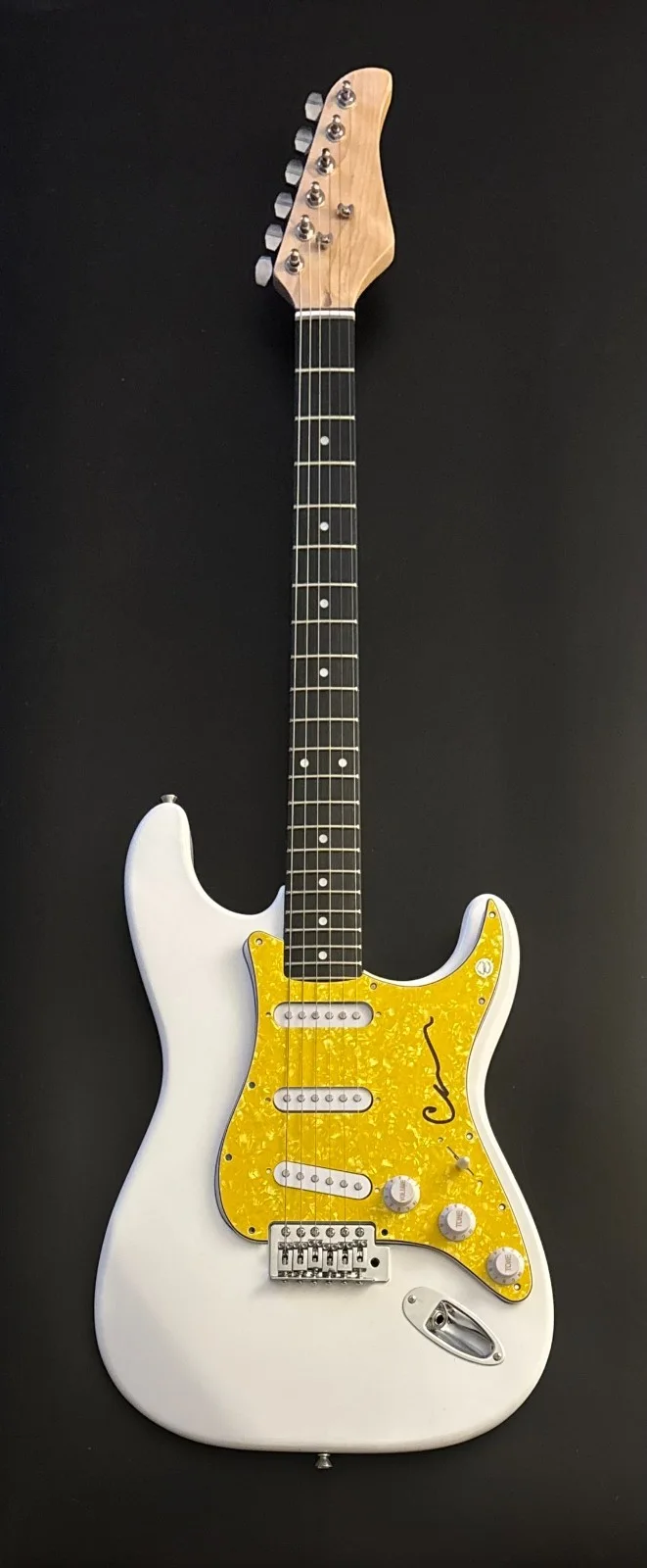GFA Wilson Phillips Star * CARNIE WILSON * Signed Electric Guitar PROOF COA, image 4
