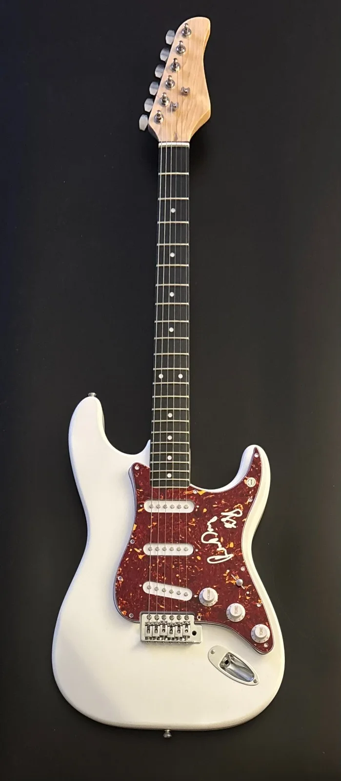 GFA Blues Guitarist * ERIC RAW DAWG GALES * Signed Electric Guitar PROOF COA, изображение 5