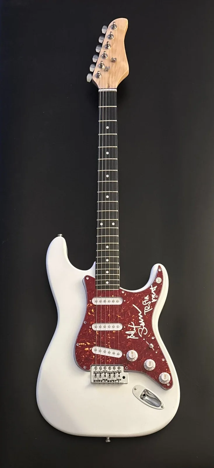 GFA Testament Rock Band * ALEX SKOLNICK * Signed Electric Guitar PROOF COA, image 4