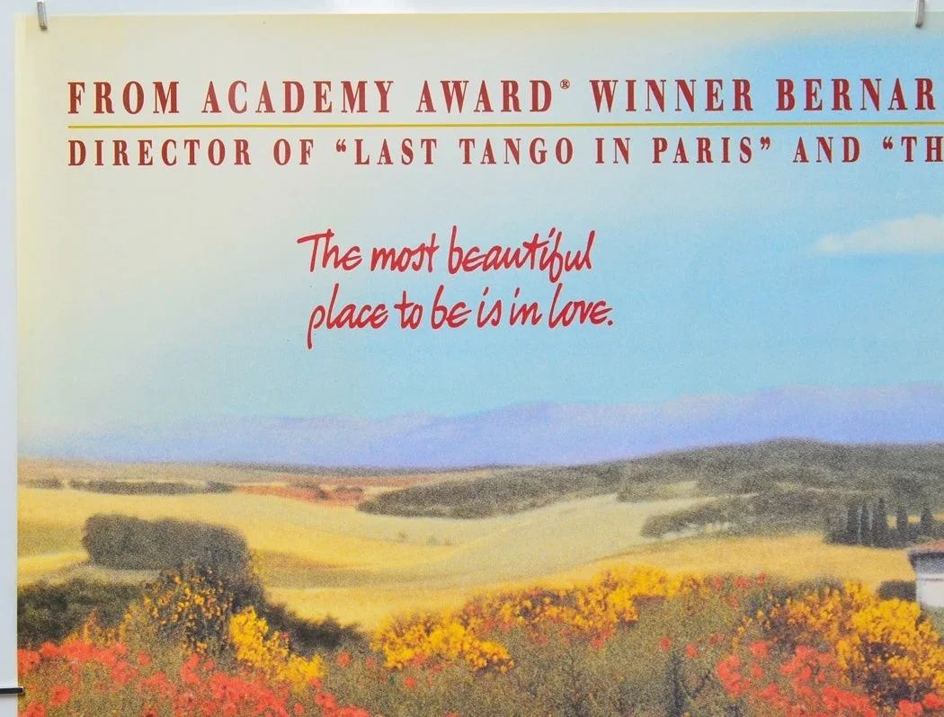 STEALING BEAUTY (1996) Original Quad Film Poster - Liv Tyler, Jeremy Irons, изображение 2