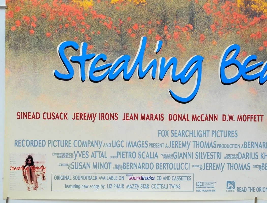 STEALING BEAUTY (1996) Original Quad Film Poster - Liv Tyler, Jeremy Irons, изображение 4