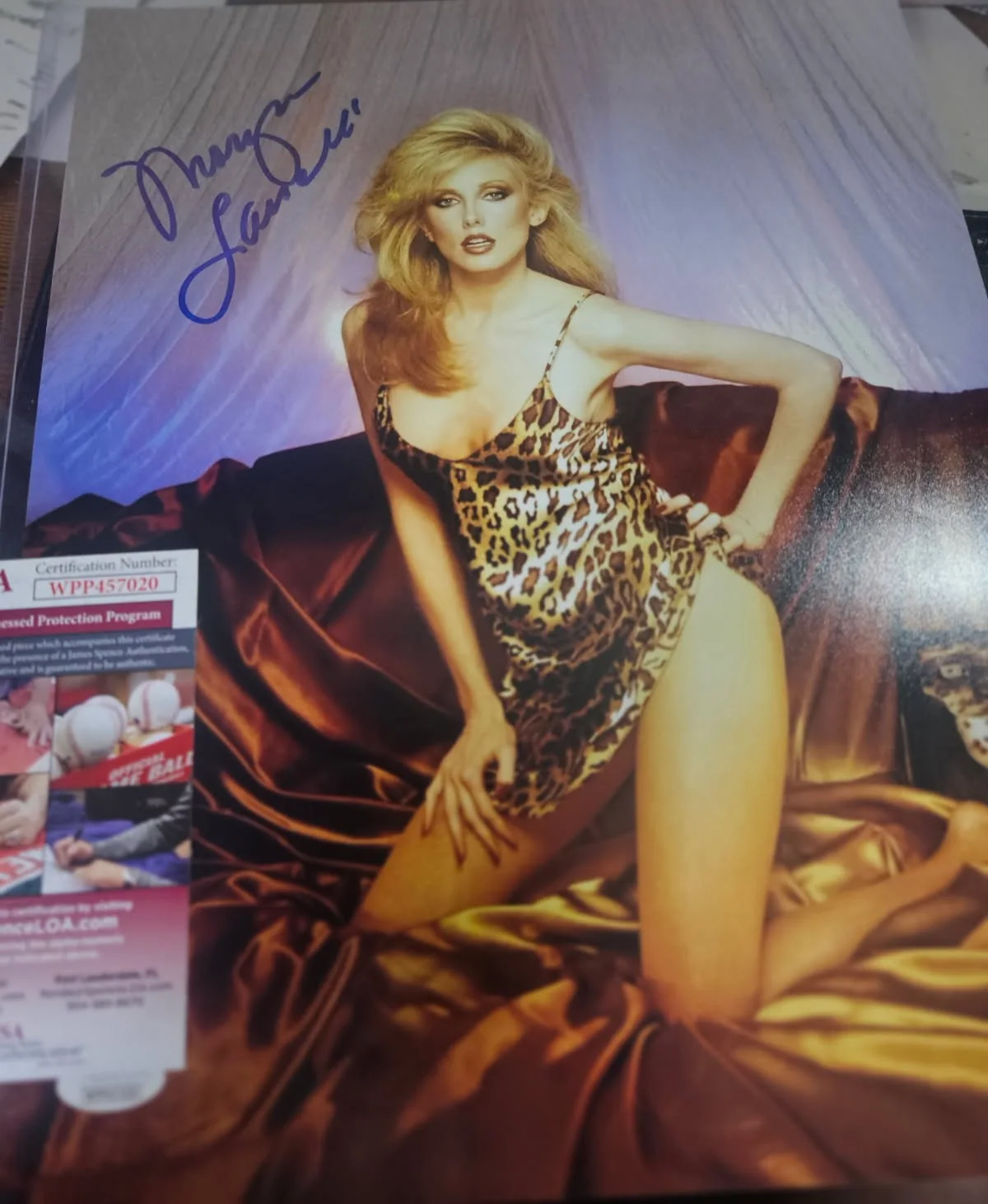 Morgan Fairchild — Morgan Fairchild autographed 11x14 sexy leopard outfit photo JSA Certified