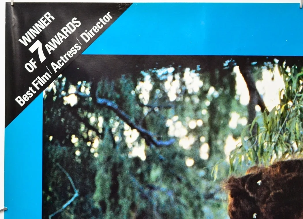 MY BRILLIANT CAREER (1979) Original Quad Movie Poster - Judy Davis, Sam Neill, изображение 2
