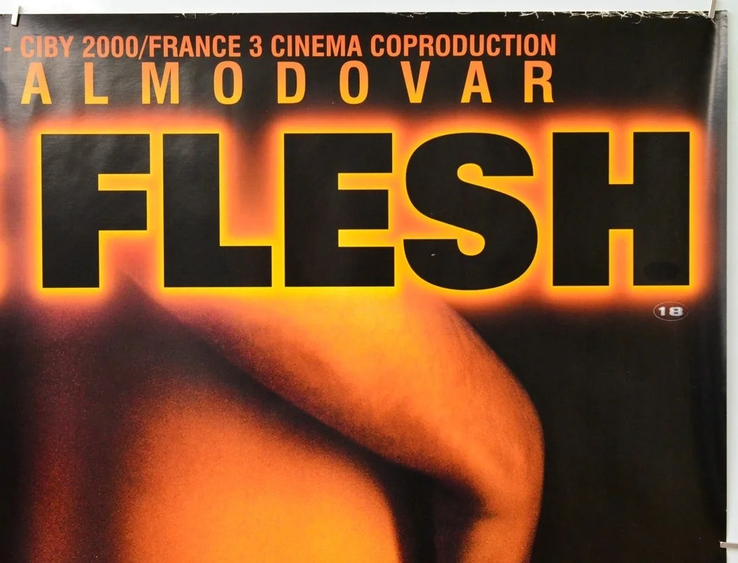 LIVE FLESH (1997) Original Quad Film Poster - Pedro Almodovar, Javier Bardem, изображение 3