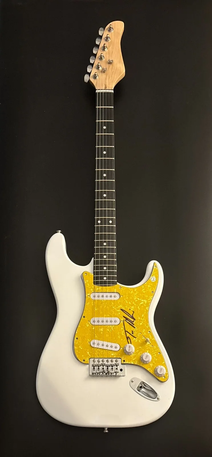 GFA G3 Band Guitarist * TONY MacALPINE * Signed Electric Guitar PROOF COA, изображение 4