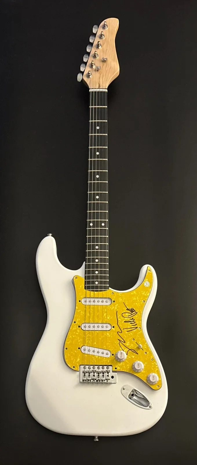 GFA Susanna Hoffs & Vicki Peterson * THE BANGLES * Signed Electric Guitar COA, image 3