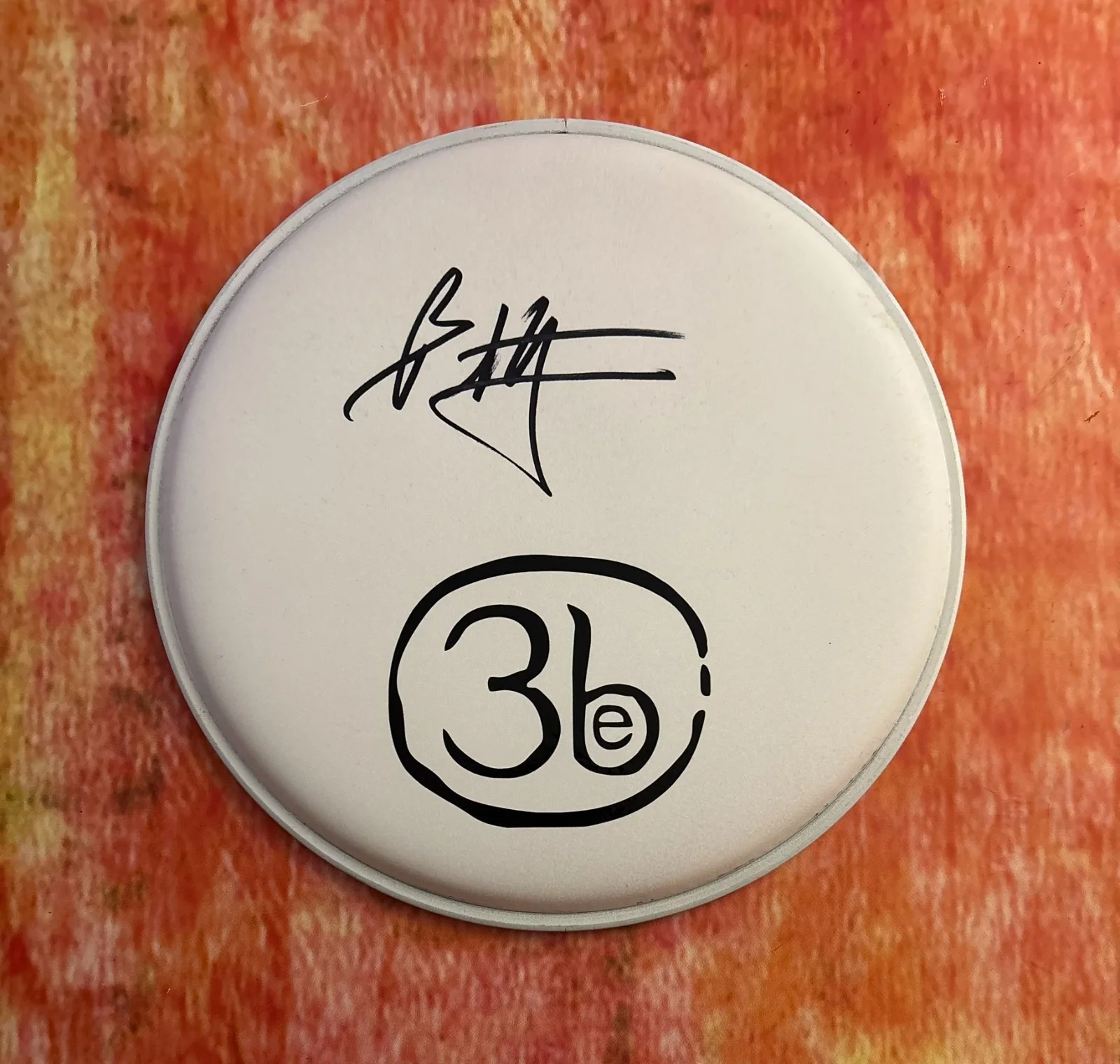 GFA Third Eye Blind Drummer * BRAD HARGREAVES * Signed 10" Drumhead B6 COA, image 2