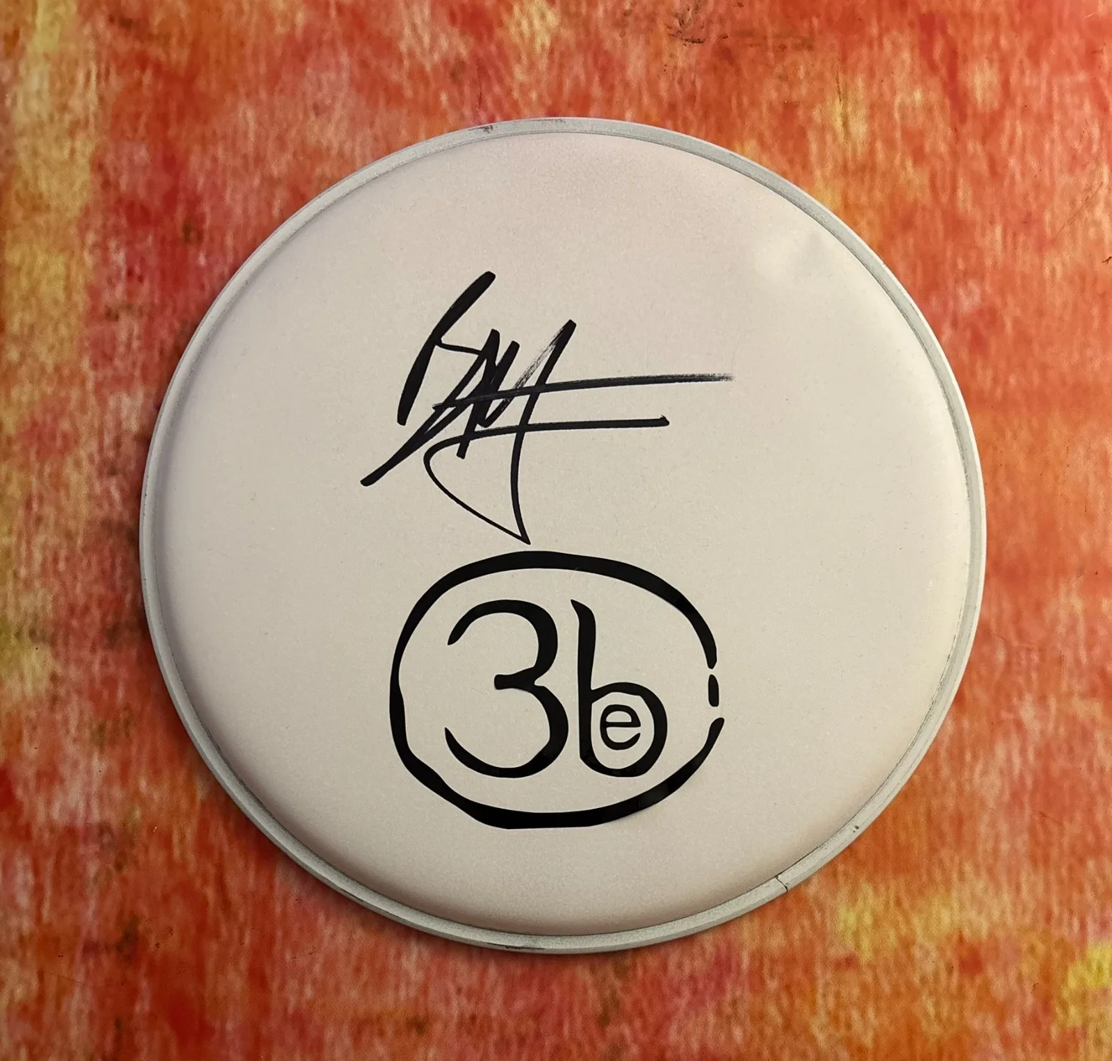 GFA Third Eye Blind Drummer * BRAD HARGREAVES * Signed 10" Drumhead B5 COA, image 2