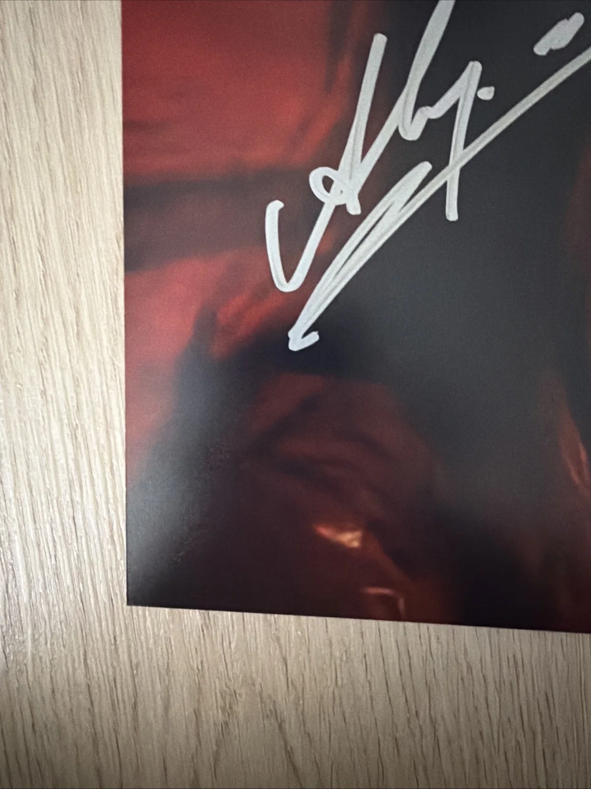 Alyssa Sutherland signed Evil Dead Rise 8x10 photo JSA Authenticated Autograph, image 5