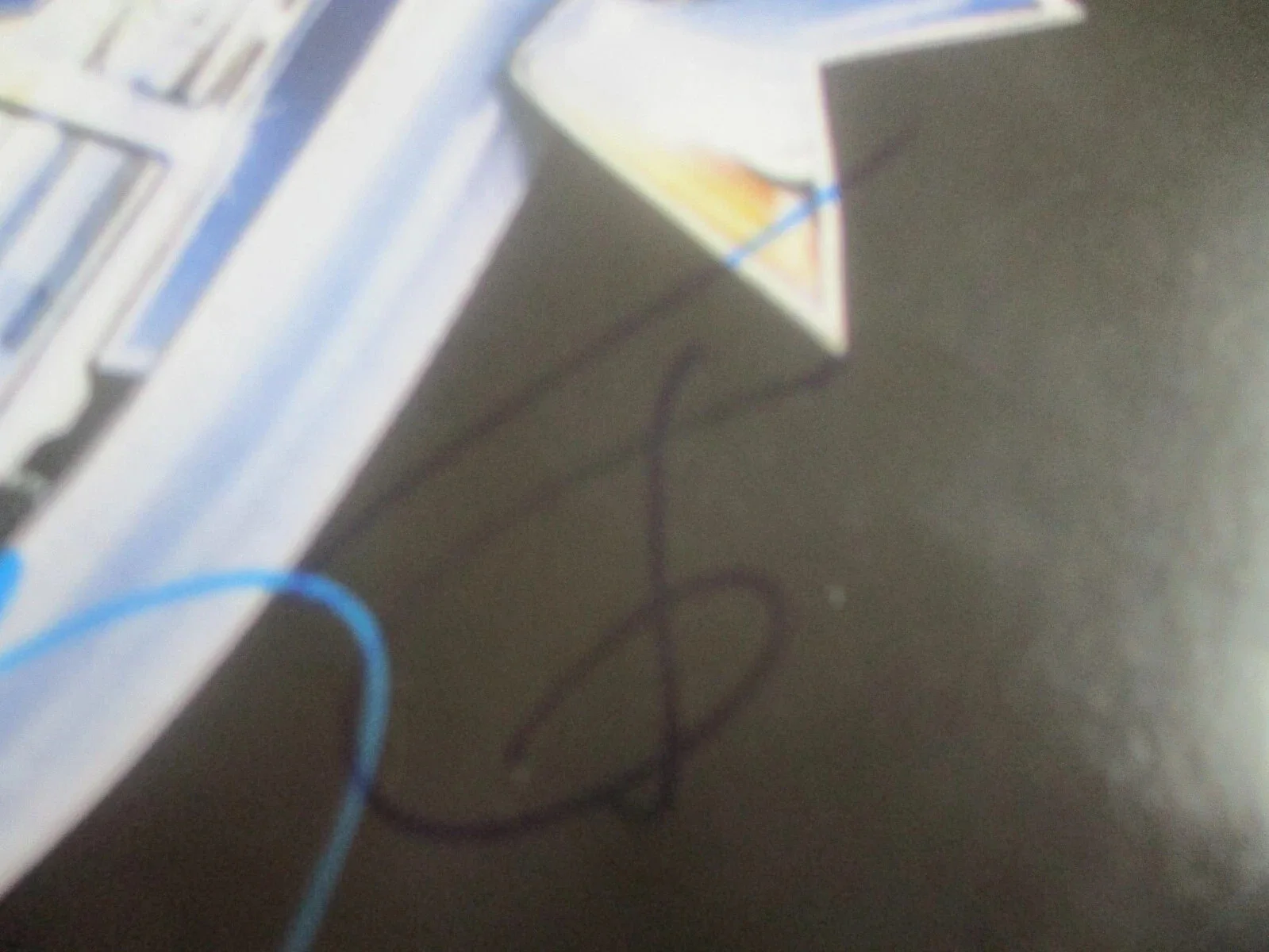 LA GUNS authentic signed/autographed RIOT ON SUNSET RECORD PHIL LEWIS/TRACII GUN, image 3